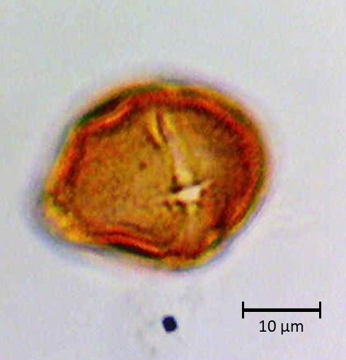 Ecuatorial 2